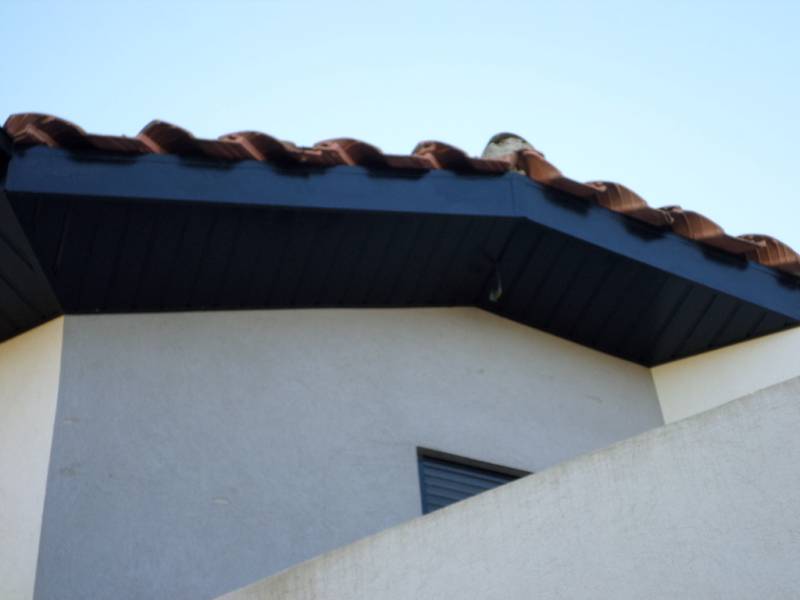 Sous faces aluminium 13